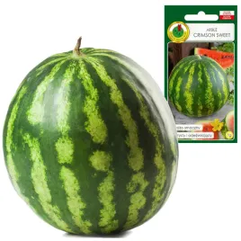 arbuz-crimson-sweet-plenny-slodki-soczysty-do-12kg