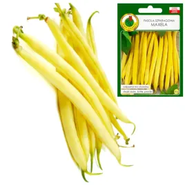 fasola-szparagowa-zolta-prosta-maxela-duze-straki-odporna-50g