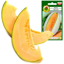 melon-melba-slodki-smaczny-masa-do-07kg