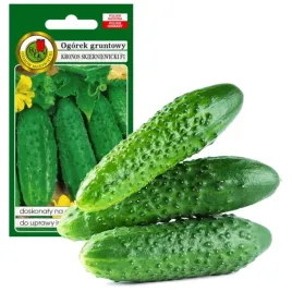 ogorek-gruntowy-kronos-skierniewicki-na-przetwory-bez-gmo