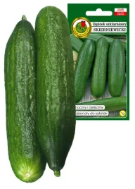 ogorek-skierniewicki-pod-oslony-szklarniowy-salatkowy-smaczny-nasiona-1g