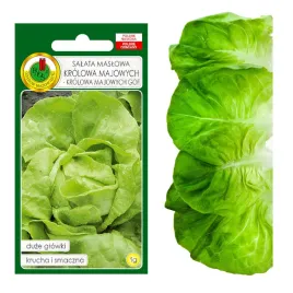 salata-maslowa-krolowa-majowych-nasiona-bez-gmo