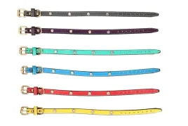 obroza-dla-psa-45cm