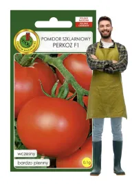 pomidor-perkoz-silnie-rosnacy-uprawa-szklarnia-tunel-plenny-nasiona-0-1g