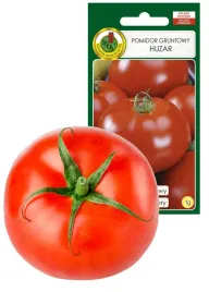 pomidor-huzar-karlowy-bardzo-smaczny-plenny-przetwory-salatki-nasiona-0-1g
