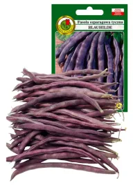 fasola-szparagowa-blauhilde-bezwloknista-bez-gmo