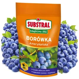 nawoz-do-borowek-substral-magiczna-sila-borowki-szybkie-efekty-wydajny