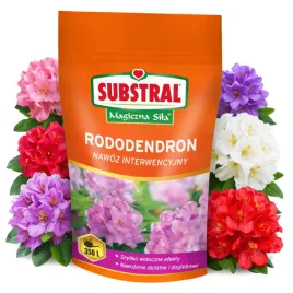 nawoz-do-rododendronow-kwiatow-substral-magiczna-sila-szybki-efekt-na-350l