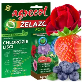 zelazo-nawoz-dolistny-przeciwko-chlorozie-lisci-ulatwia-zawiazywanie-owocow