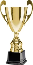 puchar-trofeum-4104-metalowy-40cm-grawer-gratis