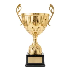 puchar-zloty-metalowy-z-grawerem-na-tabliczce-gratis-or-trofeum-36-x-16-cm