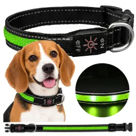 obroza-swiecaca-led-dla-psa-60cm-regulowana-mocna-3-tryby-swiecenia-usb-c