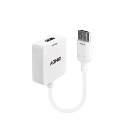 lindy-38146-adapter-kablowy-hdmi-typu-a-standard-displayport-bialy