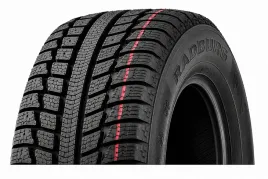 opona-zimowa-195-65-r15-radburg-power-aplin-3-88t-65r15