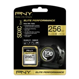 pny-256gb-sdxc-class-10-uhs-i-klasa-10