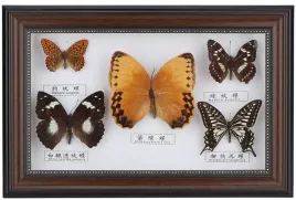 motyle-w-ramie-czarne-195x295-cm-dekoracja-scienna-do-salonu