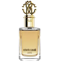 roberto-cavalli-uomo-edt-100-ml