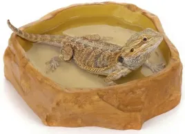 happet-basen-duza-miska-dla-gadowplazow-i-bekregowcow-do-terrarium