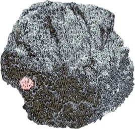 bouvier-des-flandres-naszywka-w-ksztalcie-psa-haftowana-latka-unikatowa