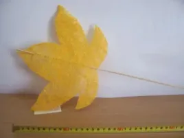 motyl-lisc-z-sizalu