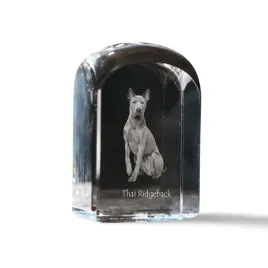 thai-ridgeback-krysztalowa-kostka-ze-zdjeciem-zdjecie-psa-w-krysztale-s