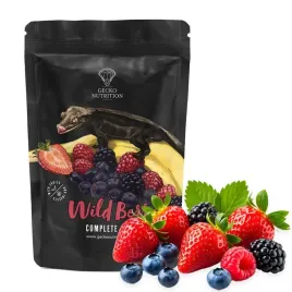 gecko-nutrition-banan-owoce-jagodowe-50g