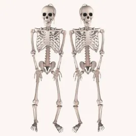 szkielet-halloween-40-cm-ruchome-stawy-2-szt-do-domu-i-ogrodu