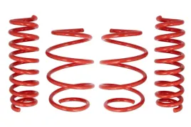 zestaw-zawieszenia-sprezyny-obnizajace-cobra-01-4152-c
