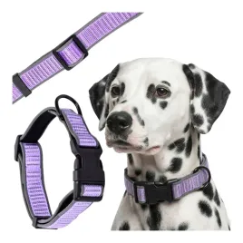 obroza-dla-sredniego-duzego-psa-z-odblaskiem-i-neoprenem-wygodna-36-51cm