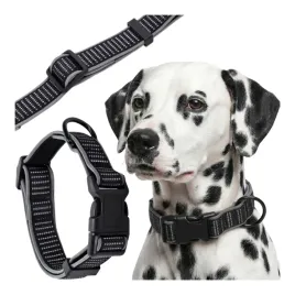 obroza-dla-sredniego-duzego-psa-z-odblaskiem-i-neoprenem-wygodna-36-51cm