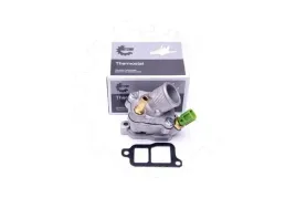 termostat-volvo-s80-i-1999-2000-2001-2002-2003-2004-2005-2006