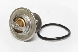 termostat-seat-toledo-ii-1999-2000-2001-2002-2003-2004-2005-2006