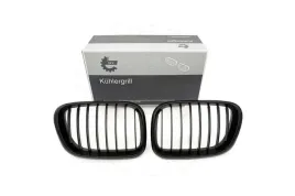 grill-nerki-bmw-x5-e53-2000-2001-2002-2003-2004-2005-2006