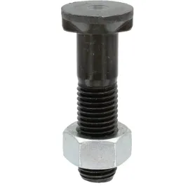 sruba-pluzna-z-nakretka-m20x25x85-10-9