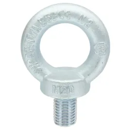 sruba-ocynkowana-z-uchem-oczkiem-m20-din-580-1-szt