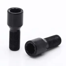zestaw-10-srub-do-felg-12x125-32mm-klucz