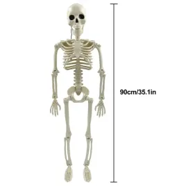 rzezba-szkieletu-ruchoma-90-cm-na-halloween