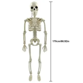 rzezba-szkieletu-ruchoma-170-cm-na-halloween