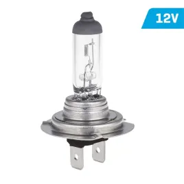 zarowka-vision-common-h7-12v-55w-px26d-e4