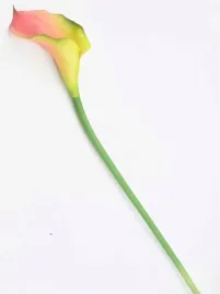 kalia-gumowa-silikon-sztuczna-kalla-rozowa-zolta-70-cm-nie-barwi