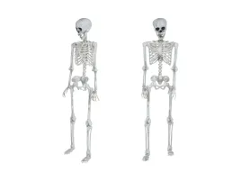 szkielet-145-cm-1-szt