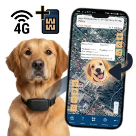 lokalizator-gps-4g-psa-kota-bez-abonamentu-uchwyt-dlugi-czas-pracy