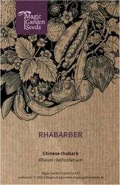 rabarbar-rheum-rhabarbarum-ok-20-nasion-wysoka-szybkosc-kielkowania
