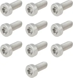 sruby-trymera-m5x12-mm-t25-torx-10-szt-echo-shindaiwa