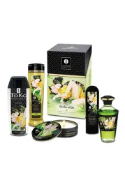 garden-of-edo-kit