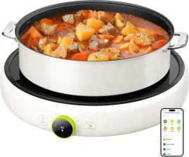 przenosna-plyta-indukcyjna-2100-w-1-strefowa-z-wifi-i-pokretlem-oled