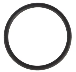 bosch-pierscien-samouszczelniajacy-do-mlota-kujacego-gsh-11-e-1610210130