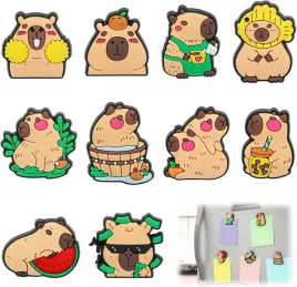magnesy-na-lodowke-capibara-10-szt-urocze-do-zdjec-i-notatek