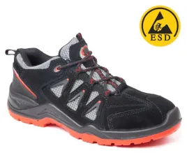 bearfield-polbut-n06-src-esd-s1-p-polstar-bbn6-39