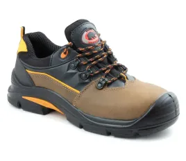 bearfield-polbut-k09-s3-src-polstar-bbk9-39